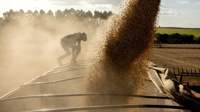 Стабилност в цените на световните пазари отчита Софийската стокова борса