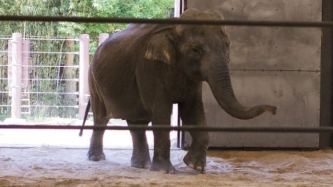 Банковите регулатори в САЩ не видяха слона в стаята