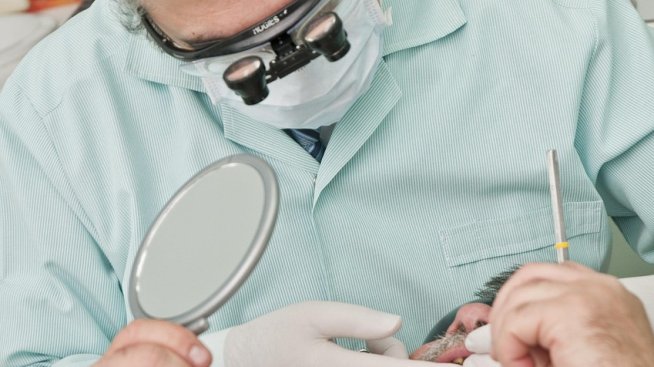 Борислав Миланов: Денталният пакет по НЗОК за възрастни трябва да бъде разширен