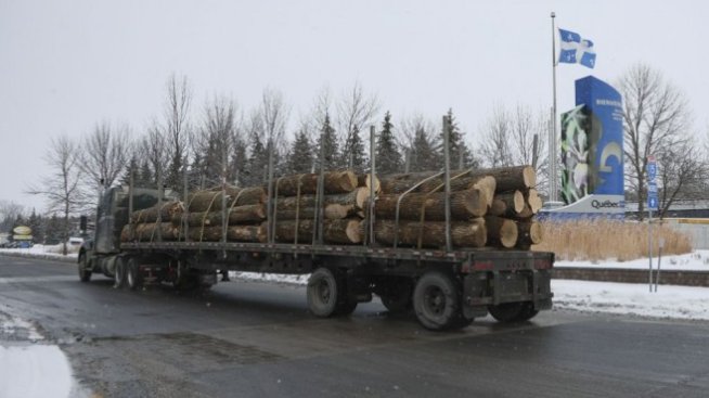 Близо 40% от отоплението и охлаждането в България се осигурява от ВЕИ