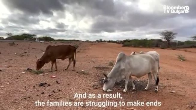 Суша връхлетя Източна Африка