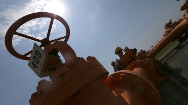 Догодина започва предпроектното проучване за строежа на газовата връзка с Турция