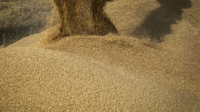 Нестабилната търговска политика на САЩ оказва натиск върху цените на пшеницата и царевицата