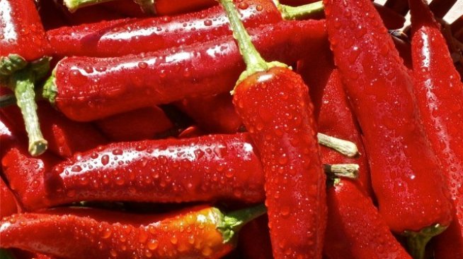 Държавната помощ за застраховки на агропродукция е 1,5 млн. лв. за 2016 г.