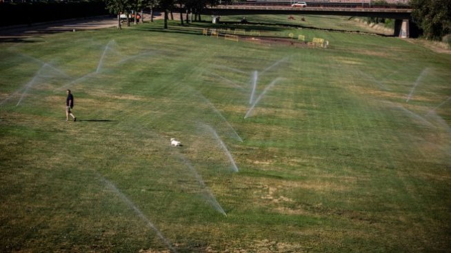 Зеленото лустросване не е безрискова форма на хвалба за фирмите