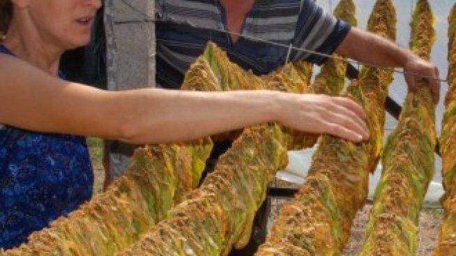 България организира нова защита срещу евродирективата за тютюна
