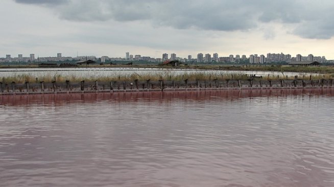 Ще остане ли солодобивът бизнес, при който природата и човека са в хармония?