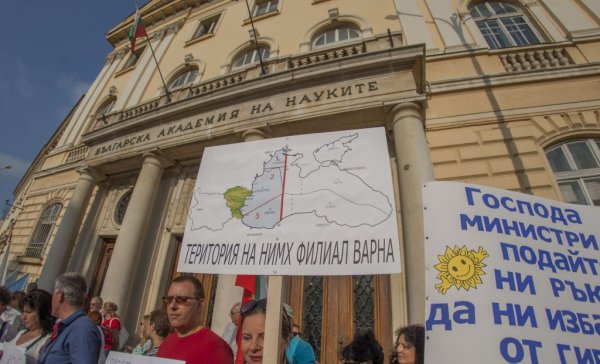 
	Снимка: Димитър Кьосемарлиев, Investor Media Group
