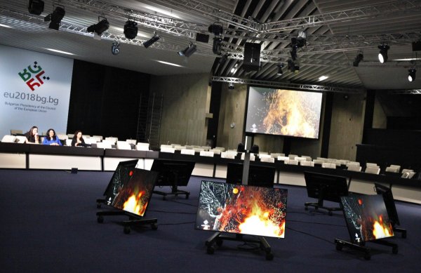 
	Снимка: Олег Попов, Investor Media Group
