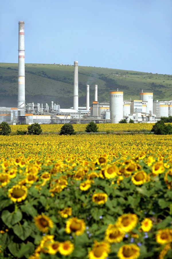 
	Италианската компания описва себе си като петия по големина производител на цимент в света. Според данните за продажбите на Statista обаче тя е на шесто място. Italcementi има бизнес в 22 страни на четири континента. Групата е основана през 1864 г. и все още е собственост на семейството Пезенти. В момента съдбата на дружеството се определя от Карло Пезенти.

	Italcementi може да спечели от сливането на двата конкурента. Акциите на концерна се повишиха, тъй като търговците очакват увеличение на цените в индустрията. LafargeHolcim може също така евентуално да се откаже от някои бизнес части, за да получи одобрението на властите.

	Снимка: компанията
