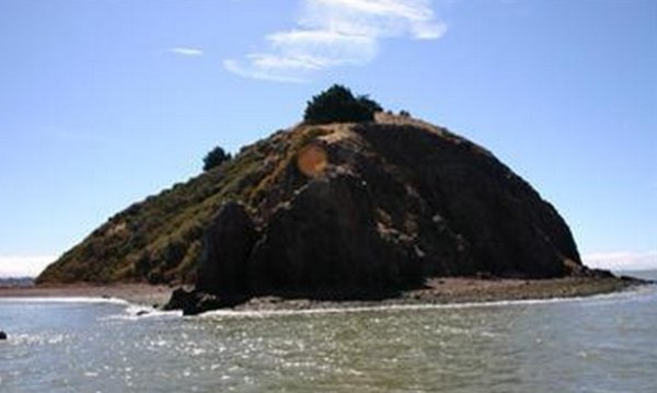 
	Изображение:&nbsp;CPS
