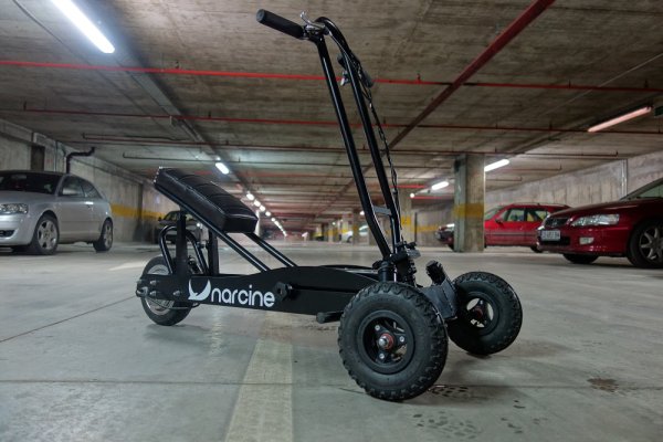 
	Снимка: Narcine
