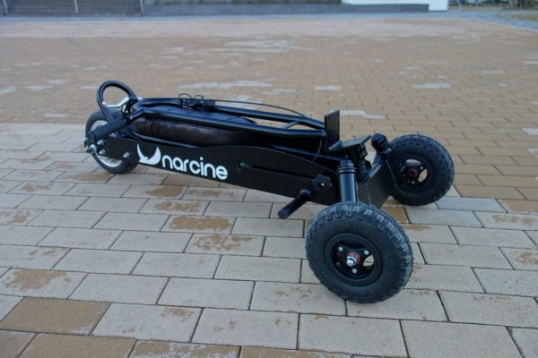 
	Снимка: Narcine
