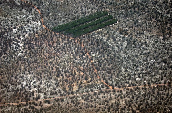 
	През следващата година Ел Ниньо ще бъде най-силният в историята и ще предизвика недостиг на влага в много райони на Югоизточна Азия и суша в Австралия. По-ниските добиви сред земеделската продукция ще ограничат предлагането във време, когато търсенето все още расте на гърба на глобалната икономическа експанзия. Резултатът ще бъде 40% увеличение в индекса Блумбърг Агрикълчър Спот, което ще добави така необходимия инфлационен натиск.

	&nbsp;
