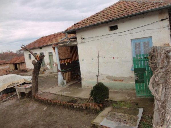 
	Намира се община Долна Митрополия, цената е 5 847.86 лв. Снимка: НАП
