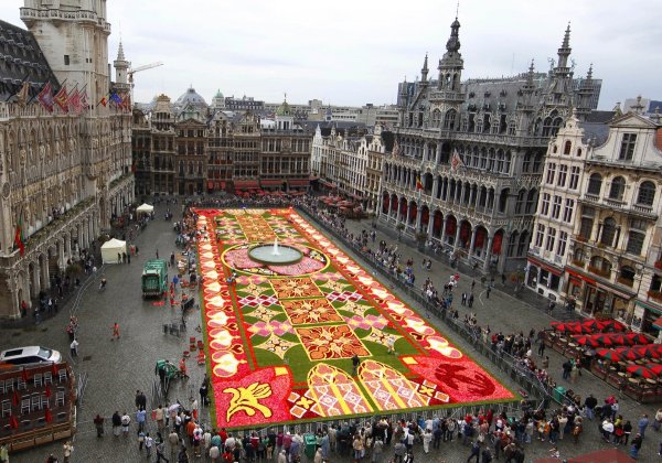 
	Дял на безкасовите разплащания към общата стойност на разплащанията: 93%

	Дял на населението, притежаващо дебитна карта: 86%

	В Белгия също има подобен закон, както във Франция, който ограничава плащанията до 3 000 евро.

	Все пак законодателството в Белгия е с една крачка напред &ndash; за нарушение ще бъдете глобени с до 225 000 евро.

	Може би останалите 14% от белгийците без дебитна карта ще размислят относно избора на методи за плащане.
