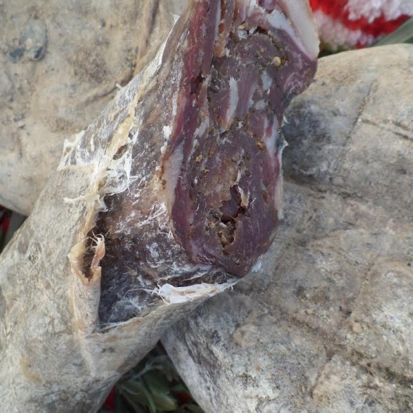 
	Снимка: АСЖБ
