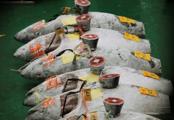 
	Снимка: Ройтерс
