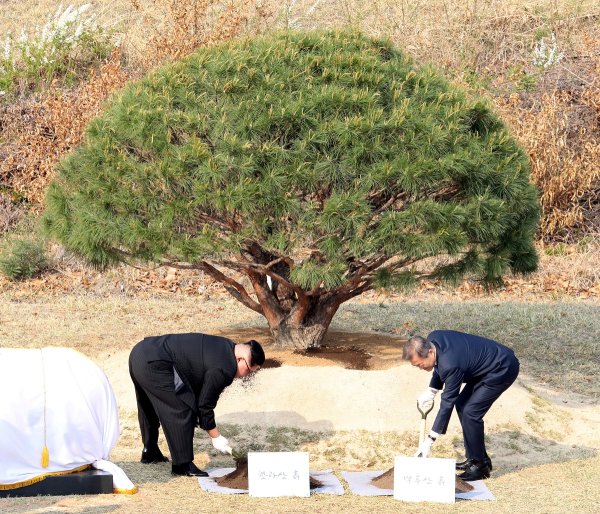 
	Ким Чен Ун и Мун Дже Ун садят дърво в демитализираната зона.

	Снимка: Ройтерс
