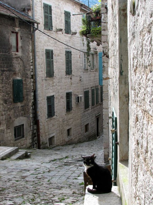 
	Снимка: Investor.bg
