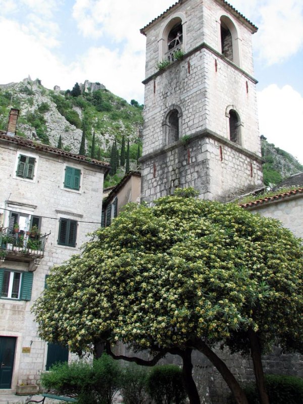 
	Снимка: Investor.bg
