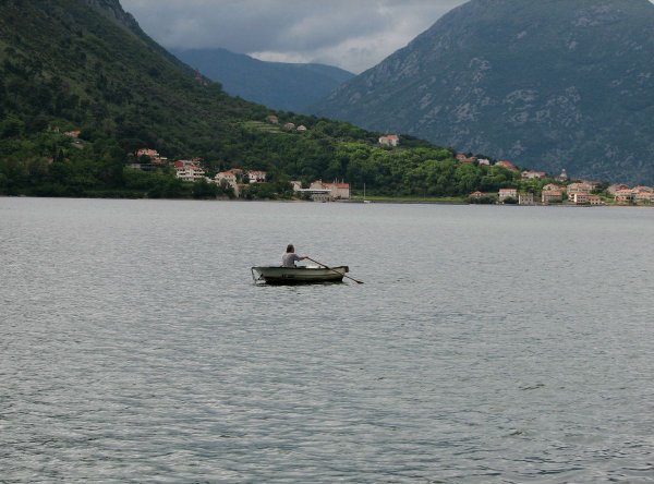 
	Снимка: Investor.bg
