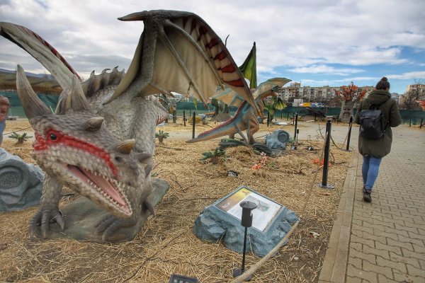 
	Снимка: Димитър Кьосемарлиев, Investor Media Group
