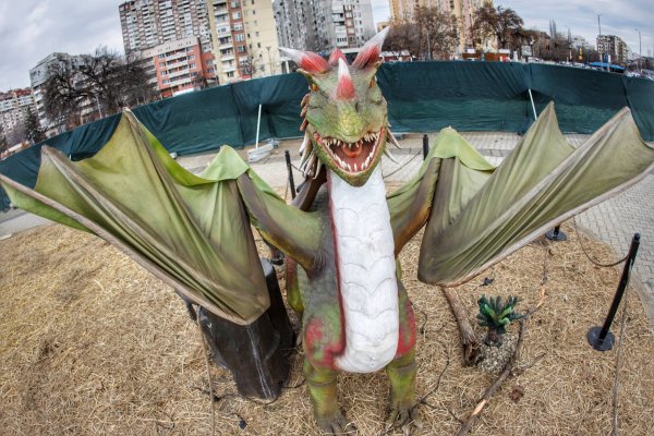 
	Снимка: Димитър Кьосемарлиев, Investor Media Group
