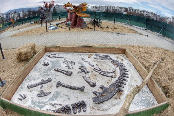 
	Снимка: Димитър Кьосемарлиев, Investor Media Group
