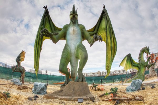 
	Снимка: Димитър Кьосемарлиев, Investor Media Group
