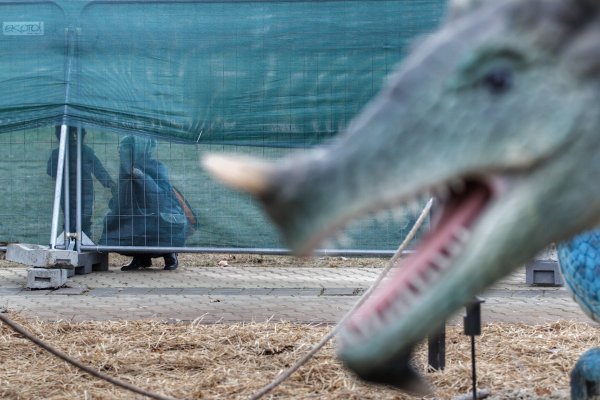 
	Снимка: Димитър Кьосемарлиев, Investor Media Group
