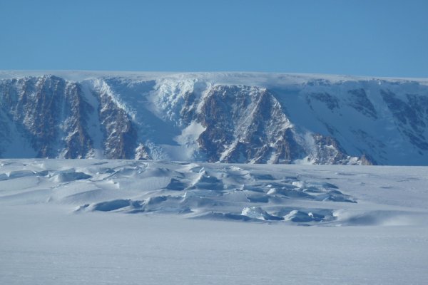 
	Снимка: Фелисити Астън
