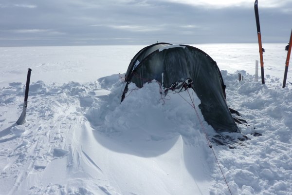 
	Снимка: Фелисити Астън
