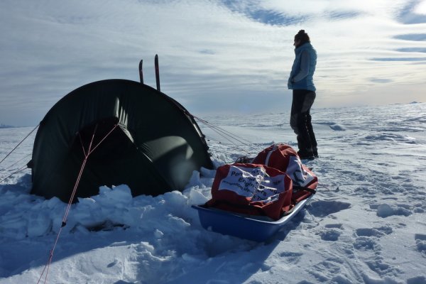 
	Снимка: Фелисити Астън
