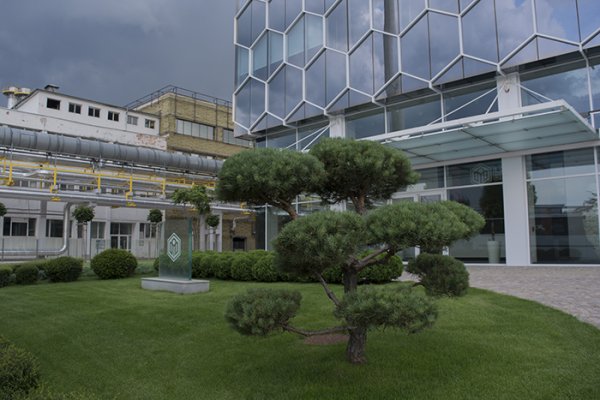 
	Снимка: Надежда Бочева, Investor.bg
