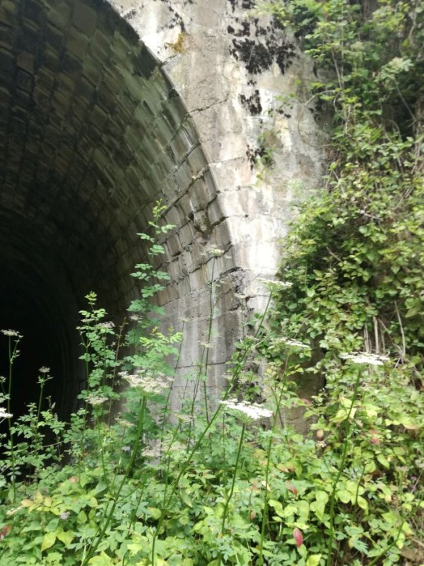 
	Тунелът от българска страна, строен край Гюешево в началото на ХХ век. Теренът е обрасъл с храсти и дървета, съоръжението не се поддържа.

	Снимка: Investor.bg
