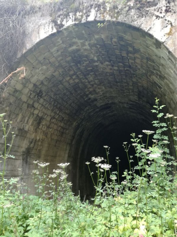 
	Снимка: Investor.bg
