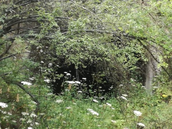 
	Входът на тунела е почти незабележим отдалеч.

	Снимка: Investor.bg
