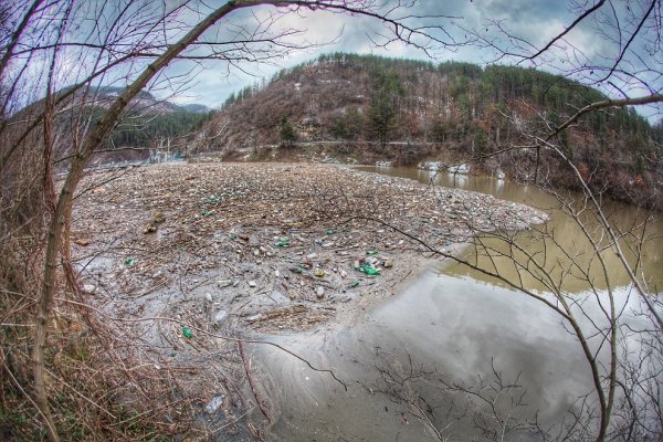 
	Снимки: Димитър Кьосемарлиев, Investor Media Group
