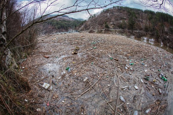 
	Снимки: Димитър Кьосемарлиев, Investor Media Group
