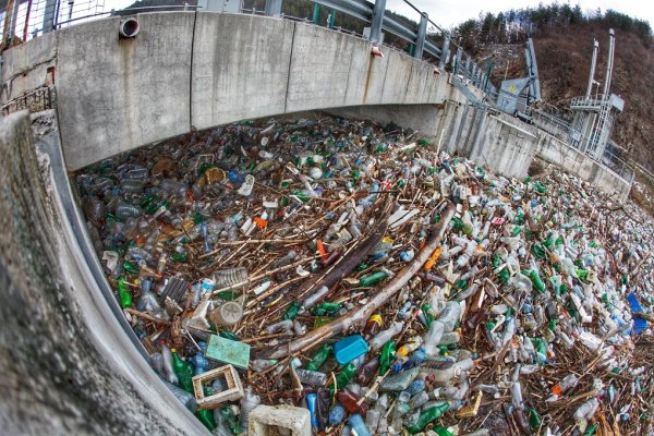 
	Снимки: Димитър Кьосемарлиев, Investor Media Group
