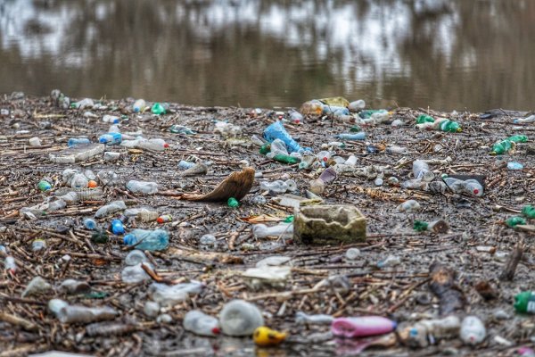 
	Снимки: Димитър Кьосемарлиев, Investor Media Group
