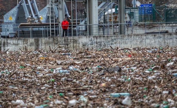 
	Снимки: Димитър Кьосемарлиев, Investor Media Group
