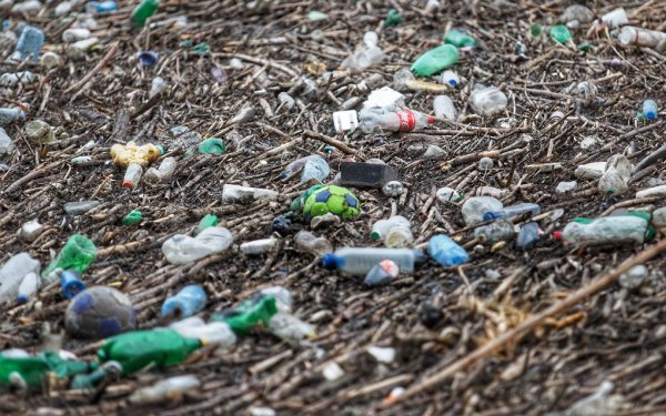 
	Снимки: Димитър Кьосемарлиев, Investor Media Group
