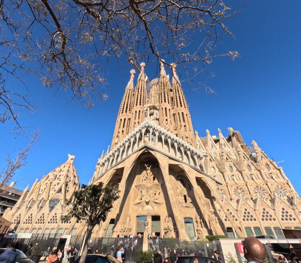 Снимка: БГНЕС/ЦВЕТАНА АРАНГЕЛОВА