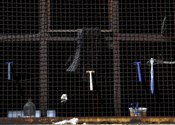 
	Ден зад решетките &ndash; мигрантите закрепват четките си за зъби и самобръсначките в такива огради. 

	&nbsp;
