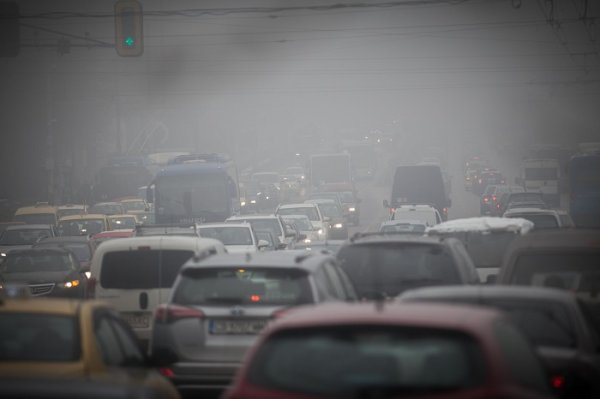 
	Снимка: Димитър Кьосемарлиев, Investor Media Group
