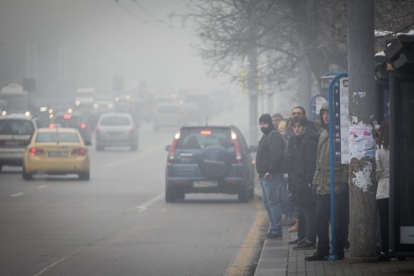 
	Снимка: Димитър Кьосемарлиев, Investor Media Group
