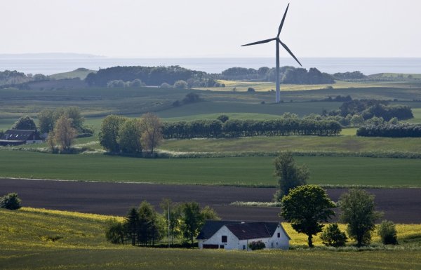 
	Място през 2014 г.: 6

	Дания има една от най-високите данъчни тежести от индекса за сигурността на пенсионирането. В индекса се вижда, че Дания, Швеция, Норвегия и Австрия са сред лидерите с най-високи данъци и това се отразява негативно при изчислението на сигурността на пенсионирането. Относително високите доходи на глава от населението, силната система на здравеопазване и ниското неравенство на доходите помагат на Дания да достигне до топ 10 в общата оценка.&nbsp;
