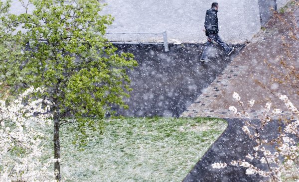 
	Място през 2014 г.: 4

	Швеция е от една от четирите държави от Скандинавия в топ 10, заедно с Норвегия, Исландия и Дания. Швеция получава високи оценки за своето качество на живот и природна среда. Въпреки че нейните граждани плащат огромни данъци, те също така имат и високи доходи. Швеция, заедно с Норвегия и Швейцария, е сред 10-те страни с най-високи доходи на глава от населението.
